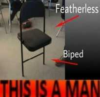 Free download This is a man meme. free photo or picture to be edited with GIMP online image editor