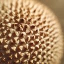 thorny fruit  screen for extension Chrome web store in OffiDocs Chromium