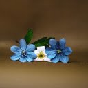 Three flowers  screen for extension Chrome web store in OffiDocs Chromium