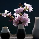 Three flower vases  screen for extension Chrome web store in OffiDocs Chromium