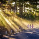 Three girls walking  screen for extension Chrome web store in OffiDocs Chromium