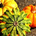 Three pumpkins  screen for extension Chrome web store in OffiDocs Chromium