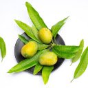 Three ripe mangoes  screen for extension Chrome web store in OffiDocs Chromium