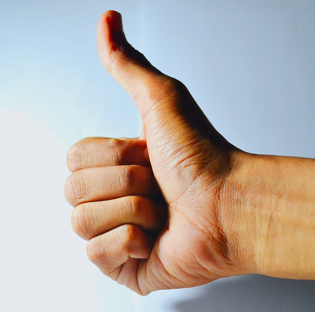 Скачать бесплатно большой палец вверх лучшая рука большого пальца хорошая бесплатная картинка для редактирования с помощью бесплатного онлайн-редактора изображений GIMP