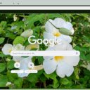 Thunbergia  screen for extension Chrome web store in OffiDocs Chromium
