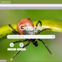 Tick  screen for extension Chrome web store in OffiDocs Chromium