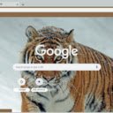 Tiger  screen for extension Chrome web store in OffiDocs Chromium