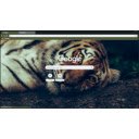 TIGER  screen for extension Chrome web store in OffiDocs Chromium TIGER  screen for extension Chrome web store in OffiDocs Chromium