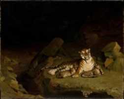 Ücretsiz indir Tiger and Cubs ücretsiz fotoğraf veya resim GIMP çevrimiçi resim düzenleyici ile düzenlenebilir