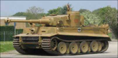 Free download Tigertank free photo or picture to be edited with GIMP online image editor
