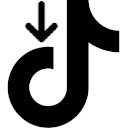 TikTok Power  screen for extension Chrome web store in OffiDocs Chromium