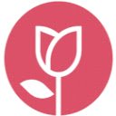 틸리허브(TILyHub)  screen for extension Chrome web store in OffiDocs Chromium