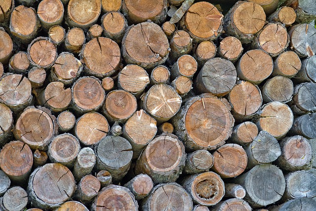הורדה חינם של רקע מחסן עצים מרקם תמונה חינם לעריכה עם עורך תמונות מקוון בחינם של GIMP
