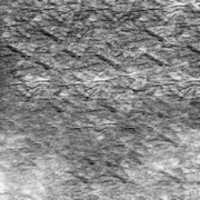 Free download Tissue Paper Background 10 22 9 free photo or picture to be edited with GIMP online image editor