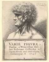 Free download Title Page of VARIE FIGVRAE free photo or picture to be edited with GIMP online image editor