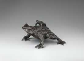 무료 사진 또는 김프 온라인 이미지 편집기로 편집할 수 있는 어린 두꺼비를 등에 업은 두꺼비 무료 다운로드