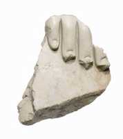 Free download Toe fragment free photo or picture to be edited with GIMP online image editor