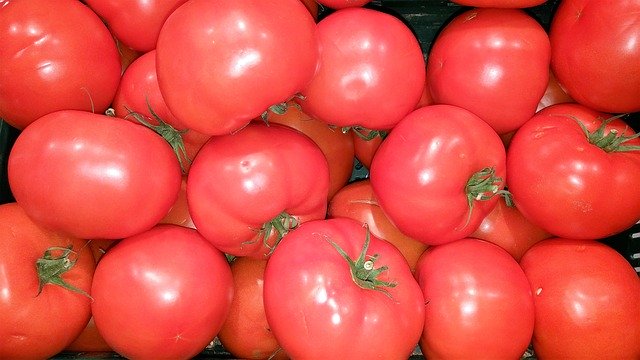 Faça o download gratuito de tomates alimentos frescos vegetais vermelho imagem grátis a ser editada com o editor de imagens on-line gratuito do GIMP