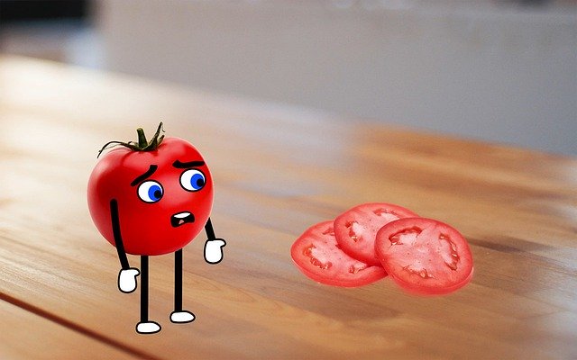 Kostenloser Download Tomato Sliced ​​Food - kostenlose Illustration, die mit dem kostenlosen Online-Bildeditor GIMP bearbeitet werden kann