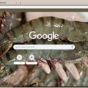 Tom bien  screen for extension Chrome web store in OffiDocs Chromium