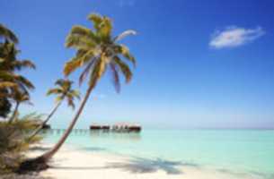Free download Top 5 Holiday Destinations in the World free photo or picture to be edited with GIMP online image editor