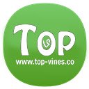 Top Vines  screen for extension Chrome web store in OffiDocs Chromium
