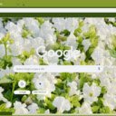 Torenia  screen for extension Chrome web store in OffiDocs Chromium