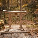 TORII THEME  screen for extension Chrome web store in OffiDocs Chromium