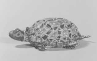 Free download Tortoise box free photo or picture to be edited with GIMP online image editor