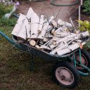Tortoise cart carrying wood  screen for extension Chrome web store in OffiDocs Chromium
