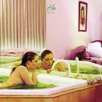 Free download Totally Mild Her Cover free photo or picture to be edited with GIMP online image editor