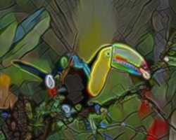 Free download Toucan free photo or picture to be edited with GIMP online image editor