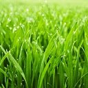 Touch Grass  screen for extension Chrome web store in OffiDocs Chromium