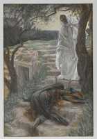 Free download Touch Me Not (Noli me tangere) free photo or picture to be edited with GIMP online image editor