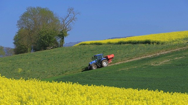 Scarica gratuitamente l'immagine gratuita del campo di colza del trattore da modificare con l'editor di immagini online gratuito GIMP