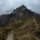 trail up the mountain  screen for extension Chrome web store in OffiDocs Chromium