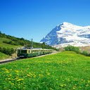 Train traveling on the grassy slope Wallpaper  screen for extension Chrome web store in OffiDocs Chromium