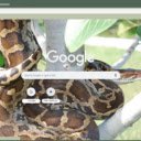 Tran  screen for extension Chrome web store in OffiDocs Chromium