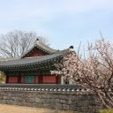 Tranquil Setting with Traditional Architecture and Spring Bloom  screen for extension Chrome web store in OffiDocs Chromium