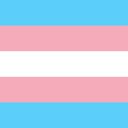 Trans Flag  screen for extension Chrome web store in OffiDocs Chromium