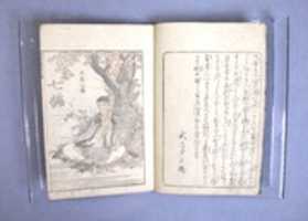 Free download Transmitting the Spirit, Revealing the Form of Things: Hokusai Sketchbooks, volume 7 (Denshin kaishu: Hokusai manga, nanahen) free photo or picture to be edited with GIMP online image editor