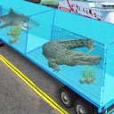 Skrin Transport Sea Animal untuk sambungan kedai web Chrome dalam OffiDocs Chromium