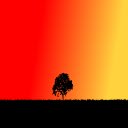 Tree at Sunset  screen for extension Chrome web store in OffiDocs Chromium