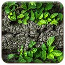 Tree Bark  screen for extension Chrome web store in OffiDocs Chromium