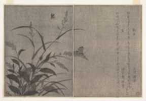 Free download Tree cricket (Matsumushi); Firefly (Hotaru), from the Picture Book of Crawling Creatures (Ehon mushi erami) free photo or picture to be edited with GIMP online image editor
