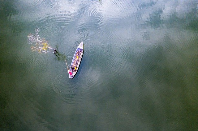 GIMP ücretsiz çevrimiçi resim düzenleyiciyle düzenlenecek ücretsiz indir ağaç balıkçısı balık tutan göl ücretsiz resmi