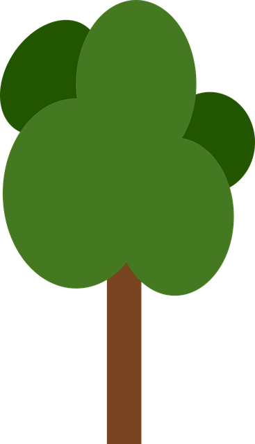 تنزيل مجاني Tree Green - صورة مجانية أو صورة لتحريرها باستخدام محرر الصور عبر الإنترنت GIMP