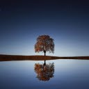 Tree, lake, stars reflection water  screen for extension Chrome web store in OffiDocs Chromium