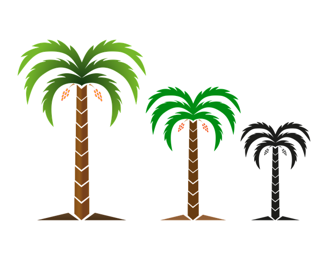 Бесплатно скачать Дерево Природа PNG изображение - бесплатная иллюстрация для редактирования в бесплатном онлайн-редакторе изображений GIMP