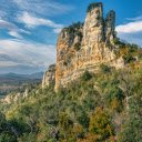 Tree on top of mountain  screen for extension Chrome web store in OffiDocs Chromium